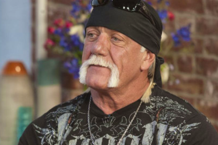 Hulk Hogan the wrestler !